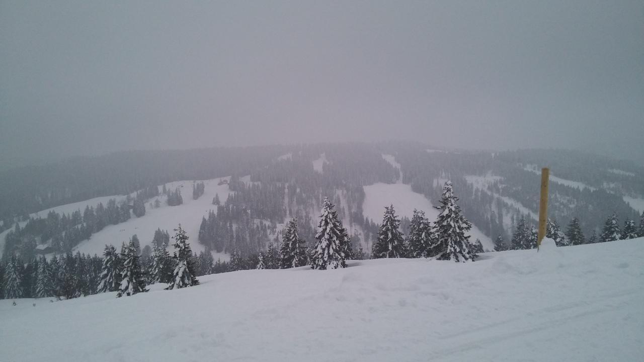 's Jägermatt Bed and Breakfast Feldberg  Exteriör bild