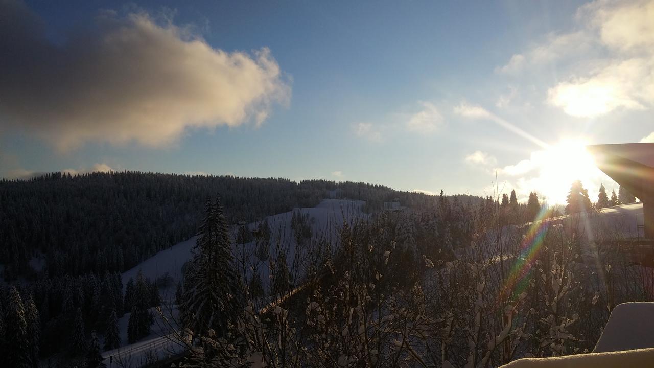 's Jägermatt Bed and Breakfast Feldberg  Exteriör bild