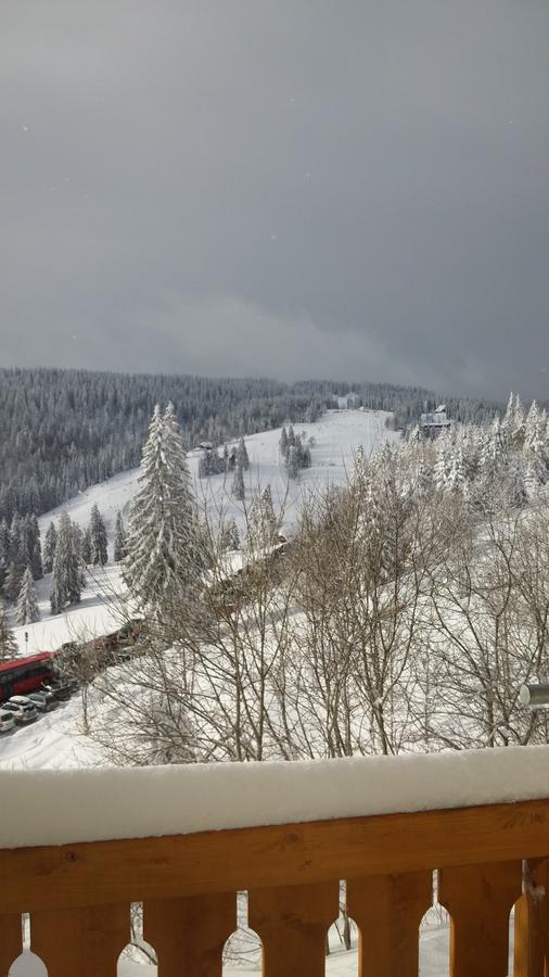 's Jägermatt Bed and Breakfast Feldberg  Exteriör bild