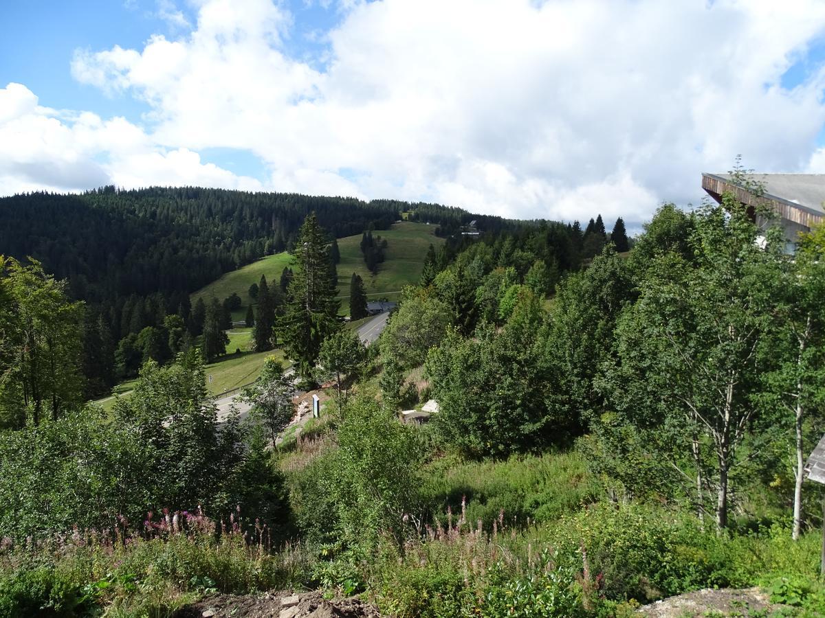 's Jägermatt Bed and Breakfast Feldberg  Exteriör bild