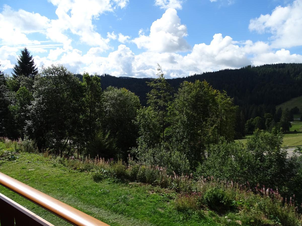 's Jägermatt Bed and Breakfast Feldberg  Exteriör bild